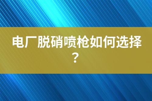 电厂脱硝喷枪如何选择？