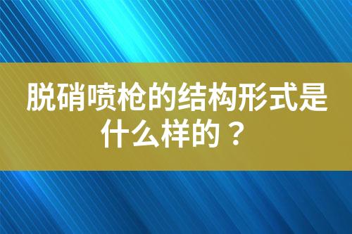 脱硝喷枪的结构形式是什么样的？