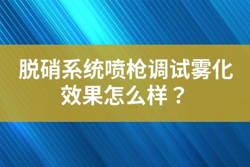 脱硝系统喷枪调试雾化效果怎么样？