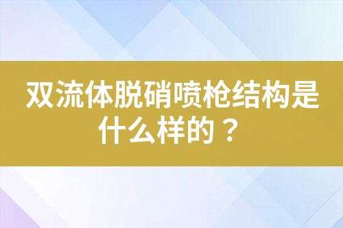 双流体脱硝喷枪结构是什么样的？