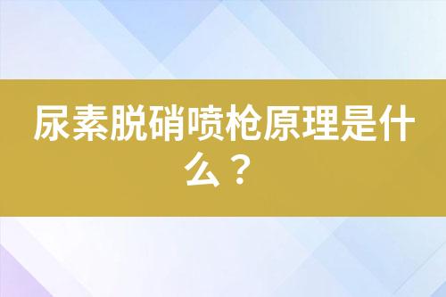 尿素脱硝喷枪原理是什么？