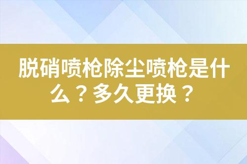 脱硝喷枪除尘喷枪是什么？多久更换？