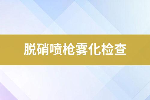 脱硝喷枪雾化检查