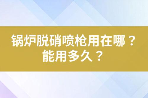 锅炉脱硝喷枪用在哪？能用多久？