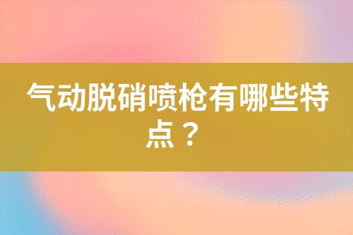 气动脱硝喷枪有哪些特点？