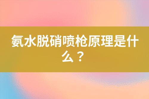 氨水脱硝喷枪原理是什么？