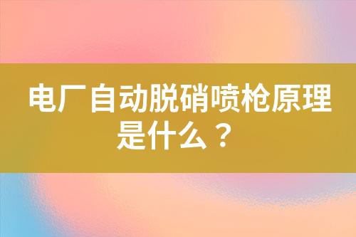 电厂自动脱硝喷枪原理是什么？