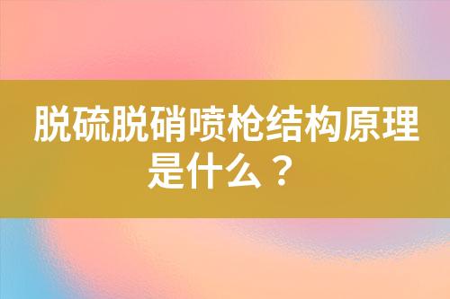 脱硫脱硝喷枪结构原理是什么？