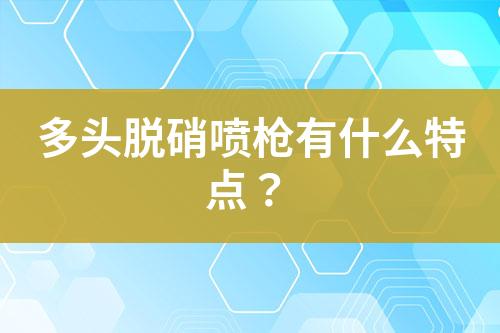 多头脱硝喷枪有什么特点？