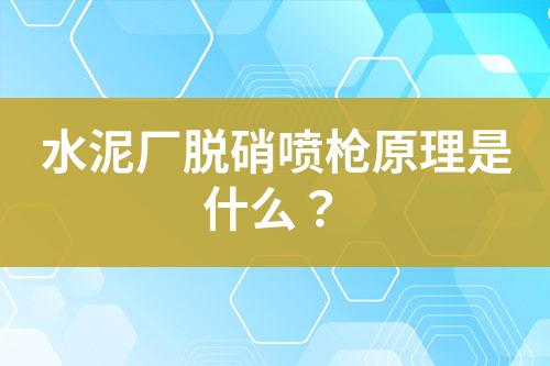 水泥厂脱硝喷枪原理是什么？