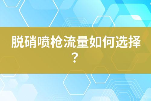 脱硝喷枪流量如何选择？