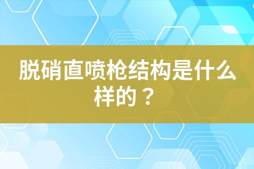 脱硝直喷枪结构是什么样的？