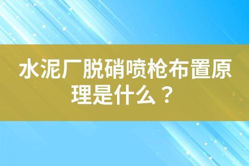 水泥厂脱硝喷枪布置原理是什么？