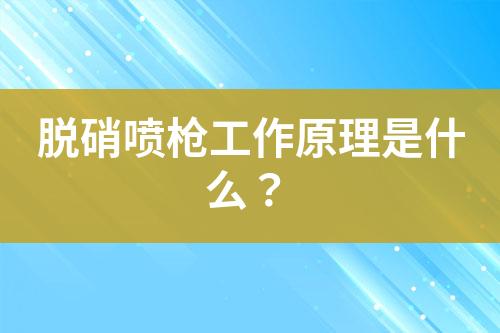 脱硝喷枪工作原理是什么？