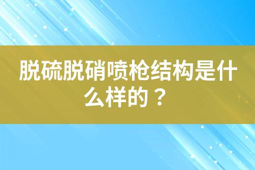 脱硫脱硝喷枪结构是什么样的？