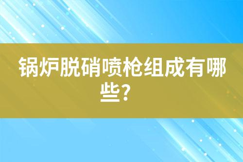 锅炉脱硝喷枪组成有哪些?