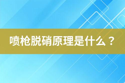 喷枪脱硝原理是什么？