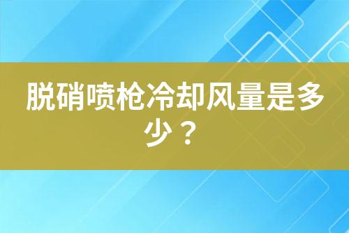 脱硝喷枪冷却风量是多少？