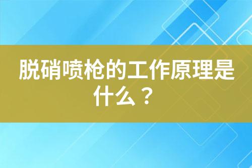 脱硝喷枪的工作原理是什么？