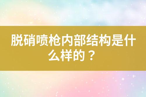 脱硝喷枪内部结构是什么样的？