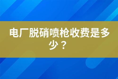 电厂脱硝喷枪收费是多少？