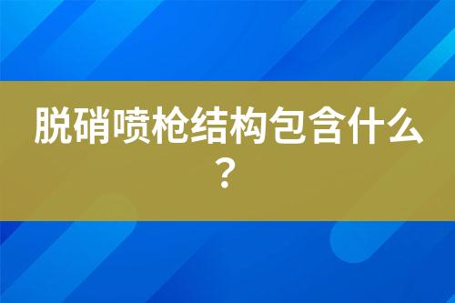 脱硝喷枪结构包含什么？