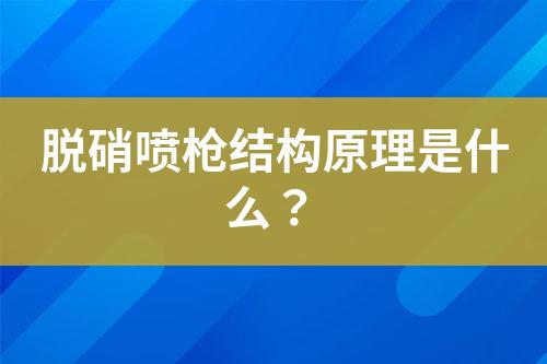 脱硝喷枪结构原理是什么？