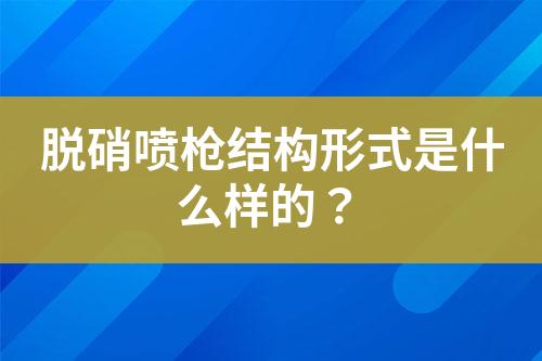 脱硝喷枪结构形式是什么样的？