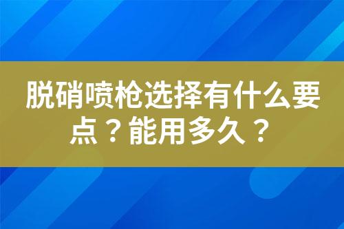 脱硝喷枪选择有什么要点？能用多久？