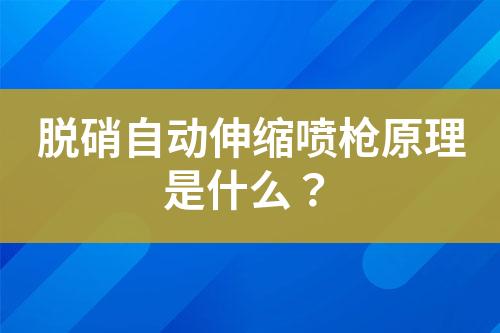 脱硝自动伸缩喷枪原理是什么？