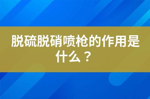 脱硫脱硝喷枪的作用是什么？