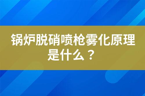 锅炉脱硝喷枪雾化原理是什么？