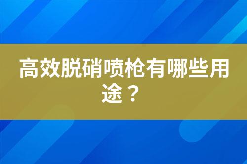 高效脱硝喷枪有哪些用途？